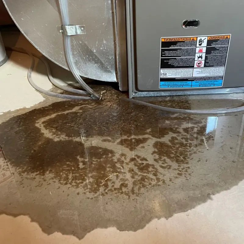 Pipe Burst and Leak Restoration in Seminole County, OK